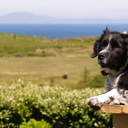 Bed & Breakfast Baywatch Renvyle