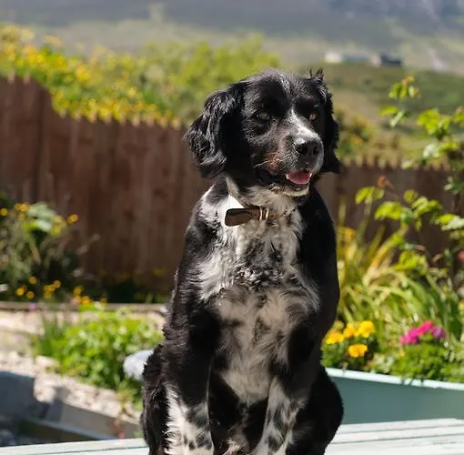 ベッド・アンド・ブレックファスト Baywatch レンバイル