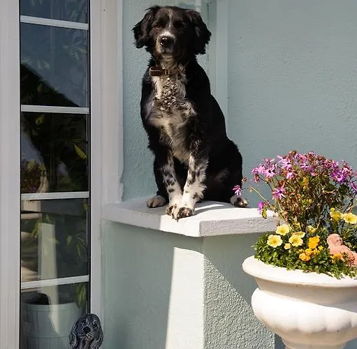 ベッド・アンド・ブレックファスト Baywatch 3*