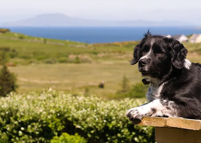 ベッド・アンド・ブレックファスト Baywatch レンバイル