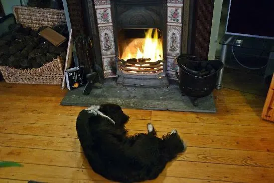 Baywatch ベッド・アンド・ブレックファスト 3*