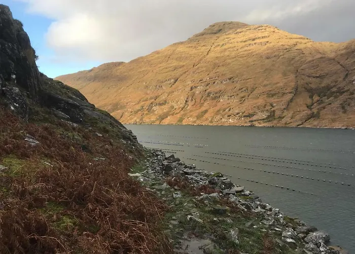 Baywatch ベッド・アンド・ブレックファスト レンバイル