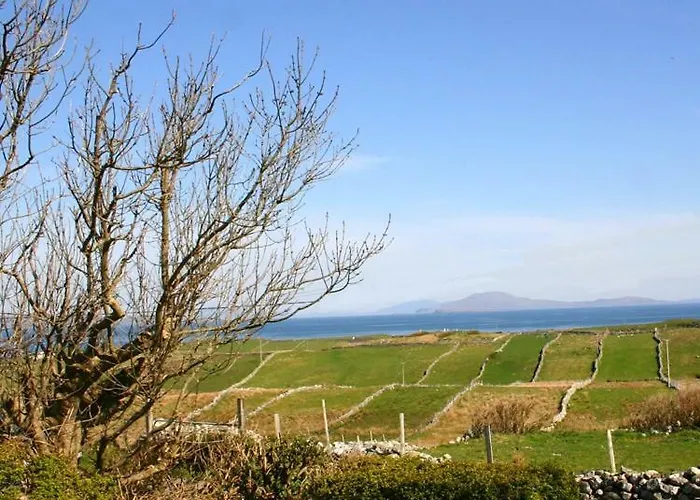 Baywatch レンバイル